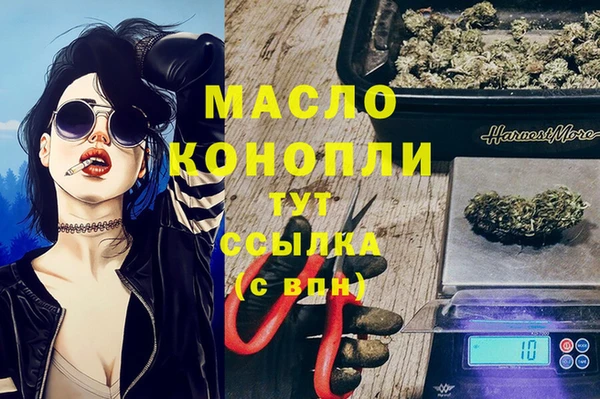 тгк Абаза