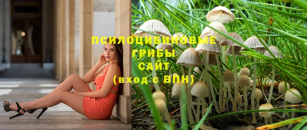 соль ск Алексеевка