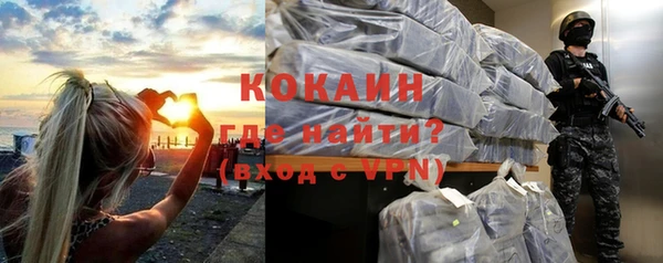 тгк Абаза