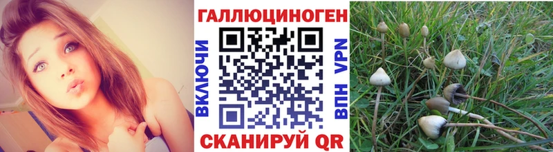 Псилоцибиновые грибы прущие грибы  как найти закладки  Усть-Кут 
