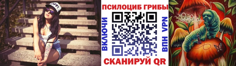 Псилоцибиновые грибы мицелий Усть-Кут