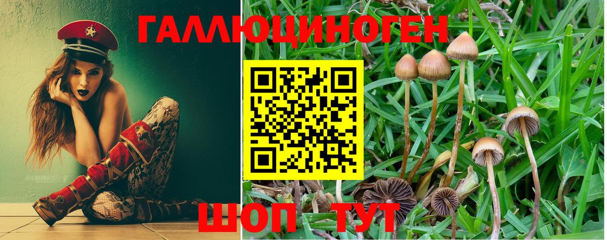 Псилоцибиновые грибы прущие грибы Усть-Кут