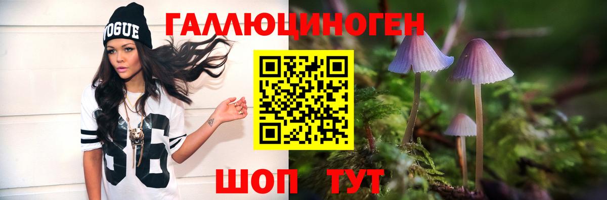 Усть-Кут  Псилоцибиновые грибы мухоморы  Вход с VPN 